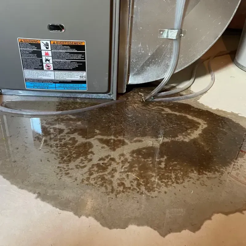 Appliance Leak Cleanup in Fulton, KY